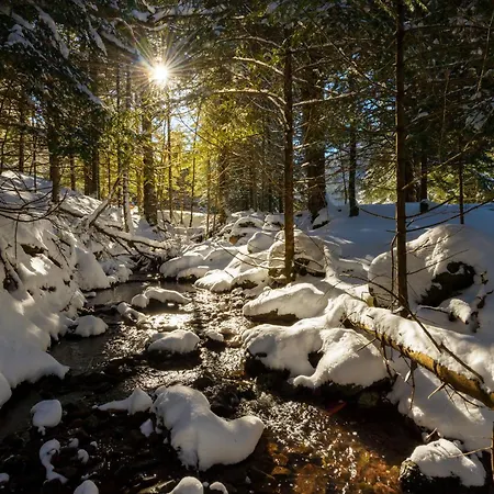 Nieu By Bevalle Apartamento Escarrilla