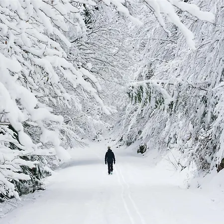 Apartamento Nieu By Bevalle *