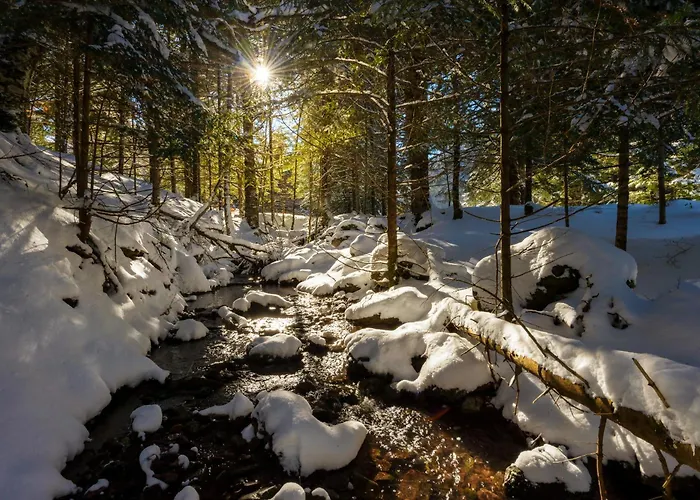 Nieu By Bevalle Apartamento Escarrilla