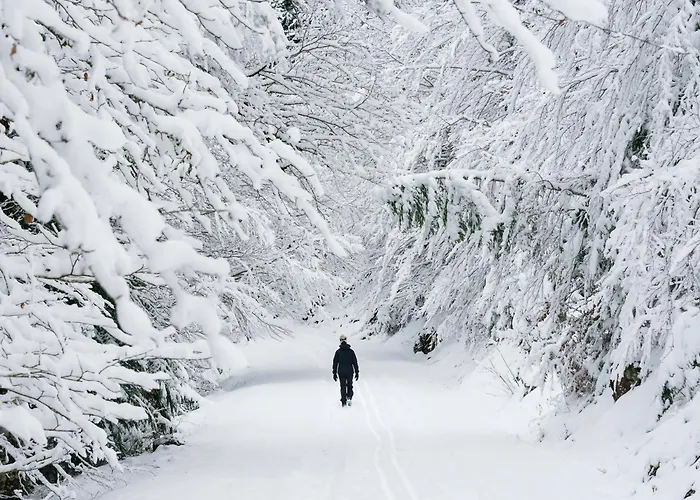 Apartamento Nieu By Bevalle *